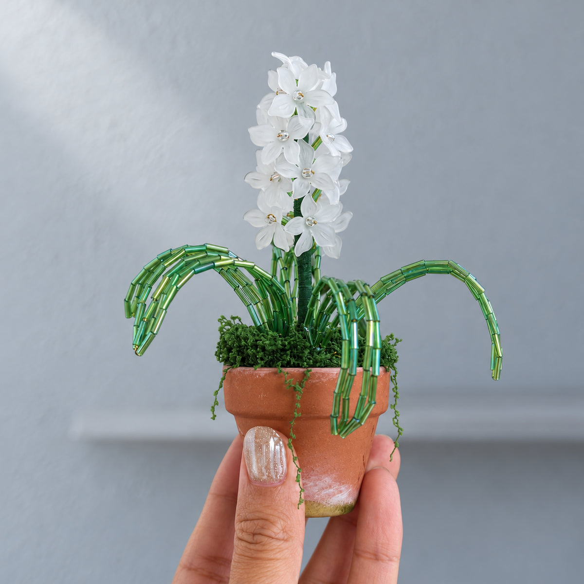 Close-up of translucent white hyacinth flowers, green tubular-bead leaves and a small ceramic pot.