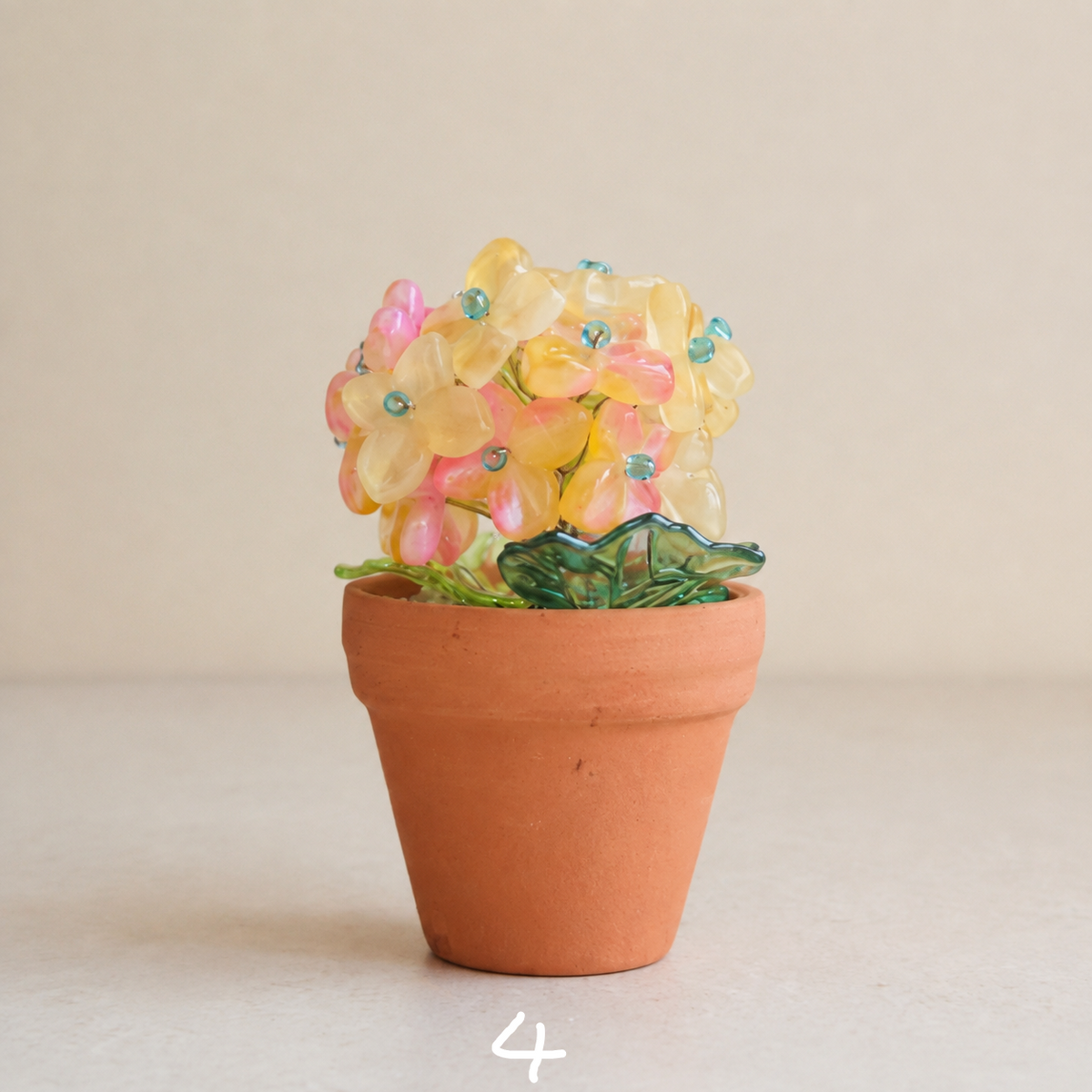 Yellow and pink beaded hydrangea in a mini terracotta pot
