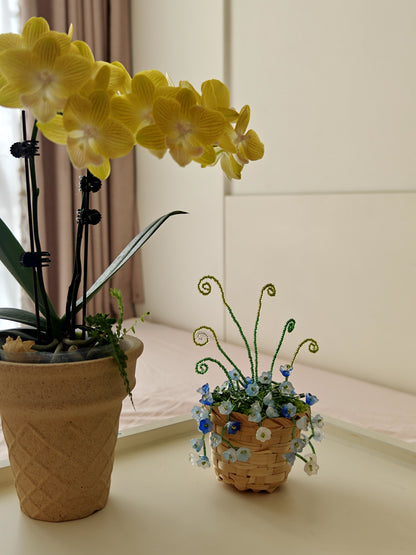 Bluebell Beaded Plant DIY Kit – Basket Style