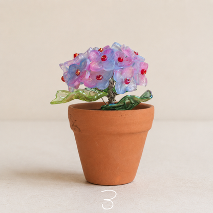 Purple blue and pink beaded hydrangea in a mini terracotta pot