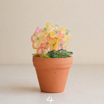 Yellow and pink beaded hydrangea in a mini terracotta pot