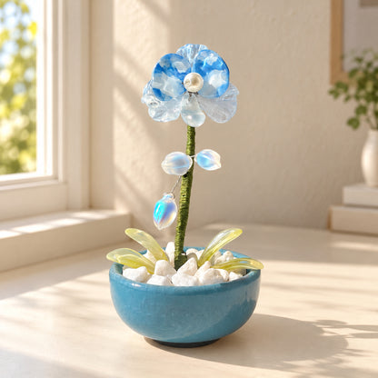 Blue beaded moth orchid in a blue pot on a sunlit desk — finished example