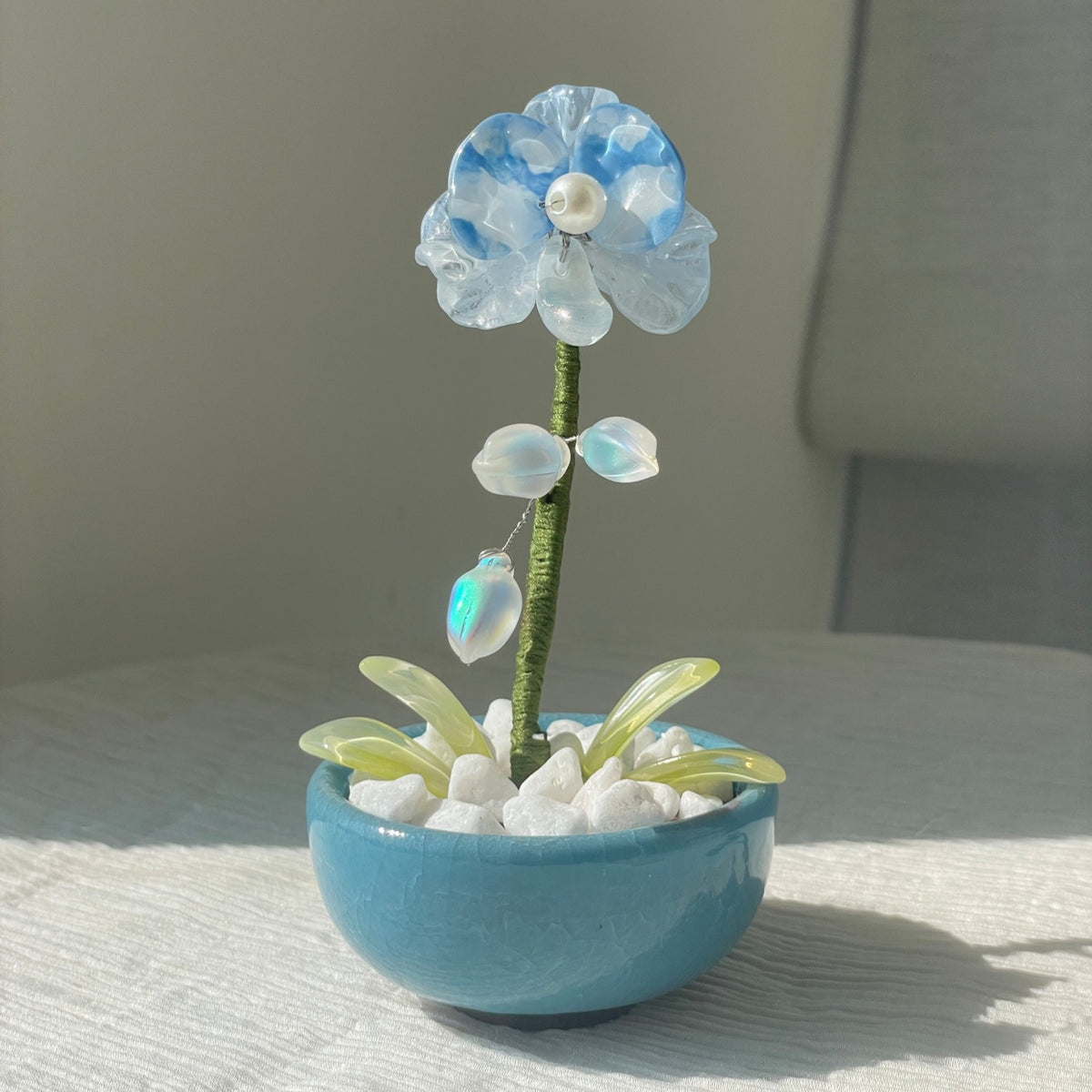 Blue beaded moth orchid with iridescent buds and a blue pot — finished example