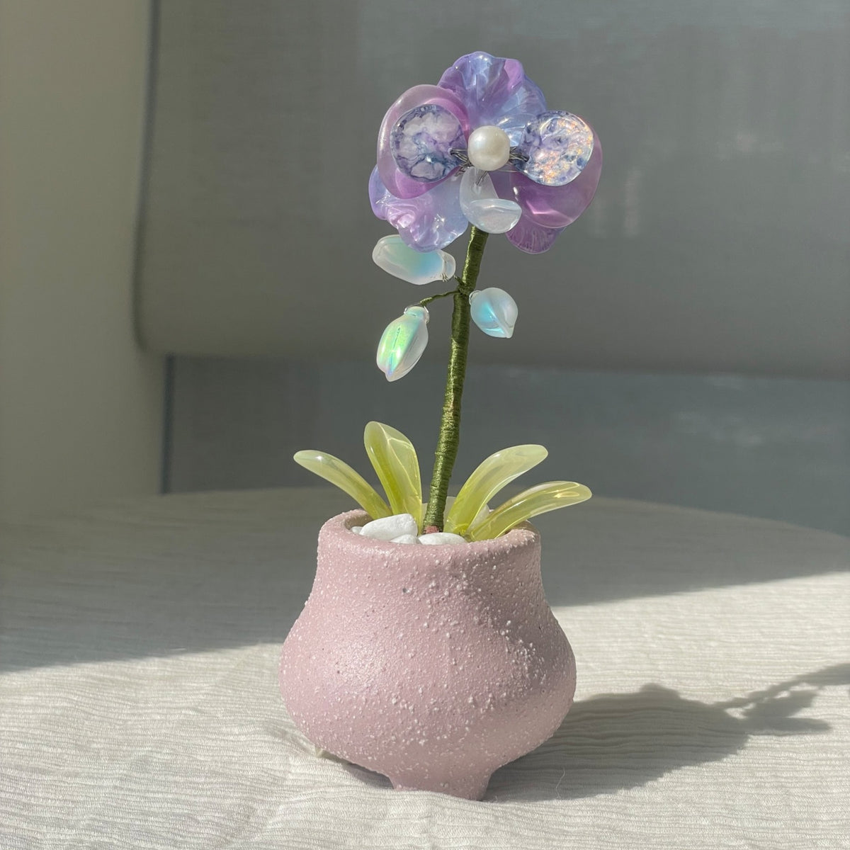 Purple beaded moth orchid in the pictured pink pot — finished example