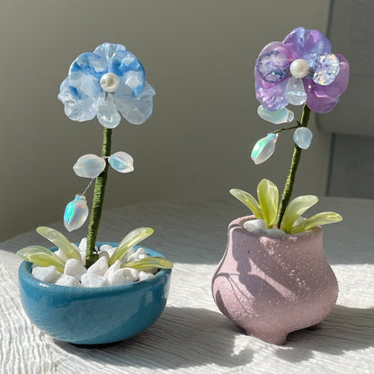 Blue and purple beaded moth orchids displayed together — finished examples