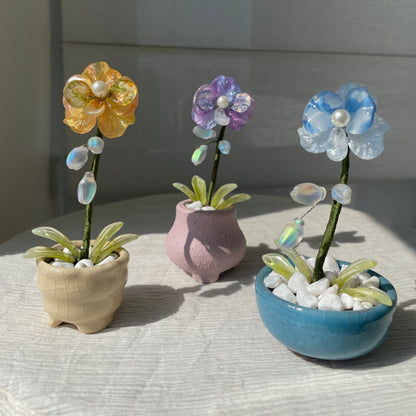 Blue, yellow and purple beaded moth orchids, each with its matching pot — three-color set