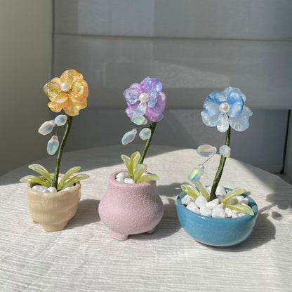 Blue, yellow and purple beaded moth orchids, each with its matching pot — three-color set