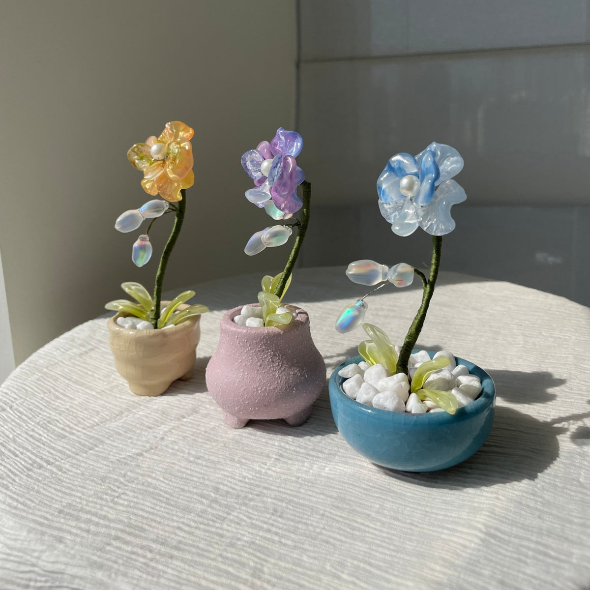 Blue, yellow and purple beaded moth orchids, each with its matching pot — three-color set