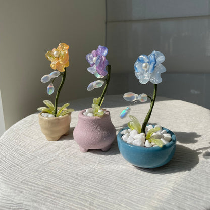 Blue, yellow and purple beaded moth orchids, each with its matching pot — three-color set