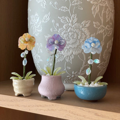 Blue, yellow and purple beaded moth orchids, each with its matching pot — three-color set
