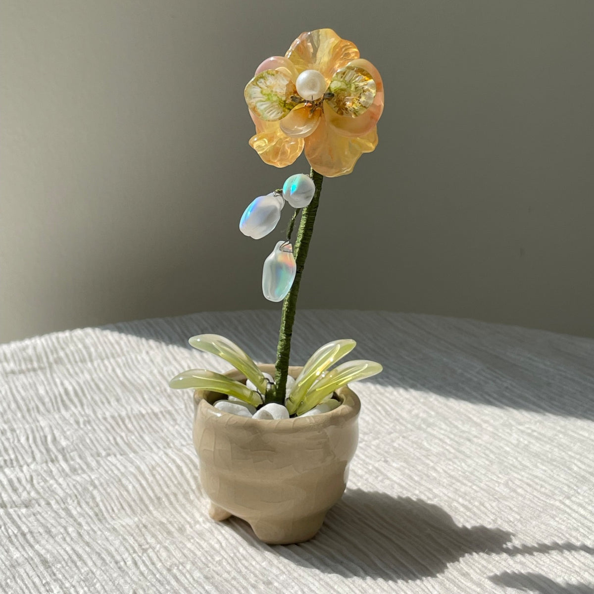 Yellow beaded moth orchid in the pictured cream pot — finished example