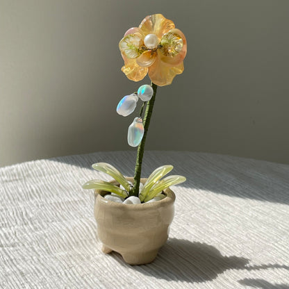 Yellow beaded moth orchid in the pictured cream pot — finished example