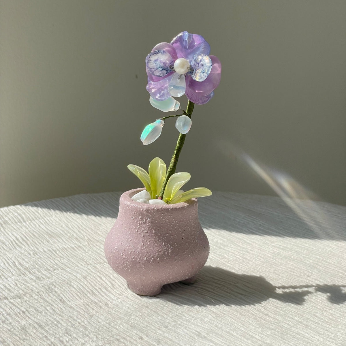 Purple beaded moth orchid in the pictured pink pot — finished example