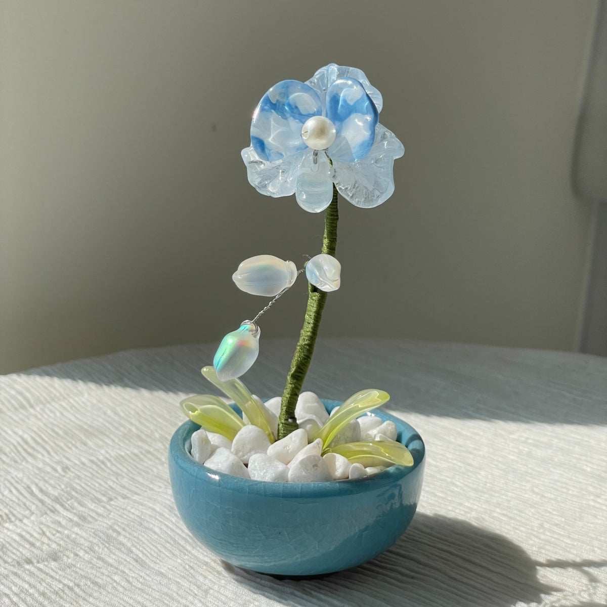 Blue beaded moth orchid with iridescent buds and a blue pot — finished example
