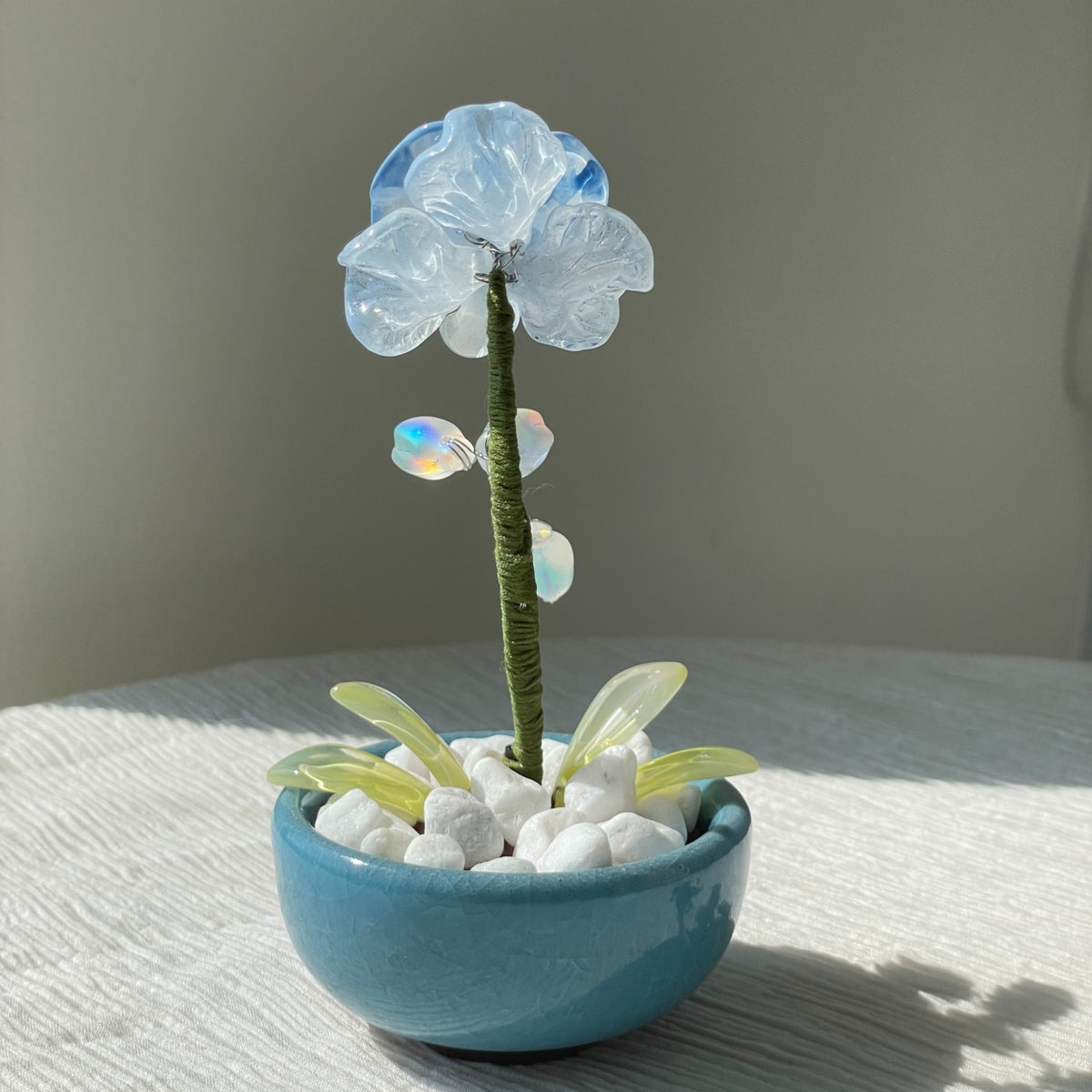 Back view of blue beaded moth orchid with iridescent buds and a blue pot — finished example