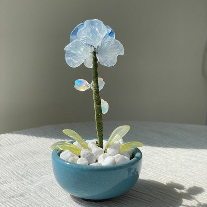 Back view of blue beaded moth orchid with iridescent buds and a blue pot — finished example
