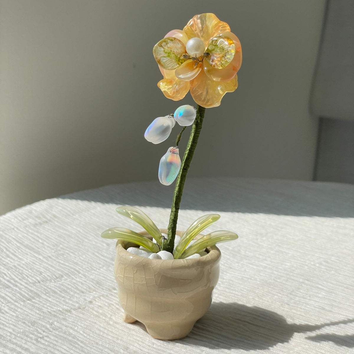 Yellow beaded moth orchid in the pictured cream pot — finished example