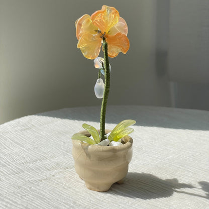 Back view of yellow beaded moth orchid in the pictured cream pot — finished example