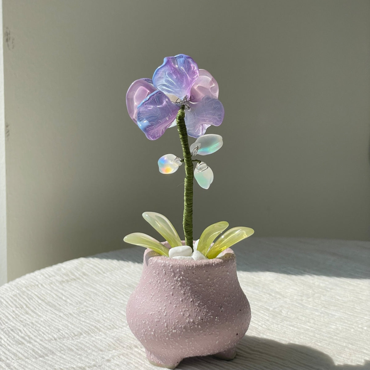 Back view of purple beaded moth orchid in the pictured pink pot — finished example