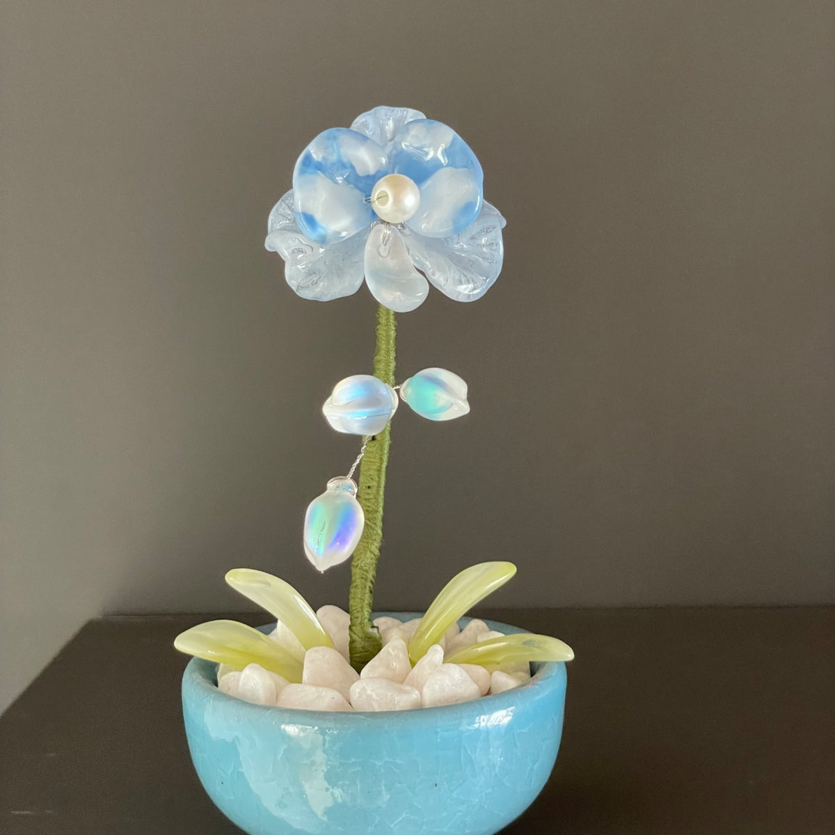Blue beaded moth orchid with iridescent buds and a blue pot — finished example