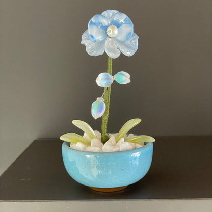 Blue beaded moth orchid with iridescent buds and a blue pot — finished example