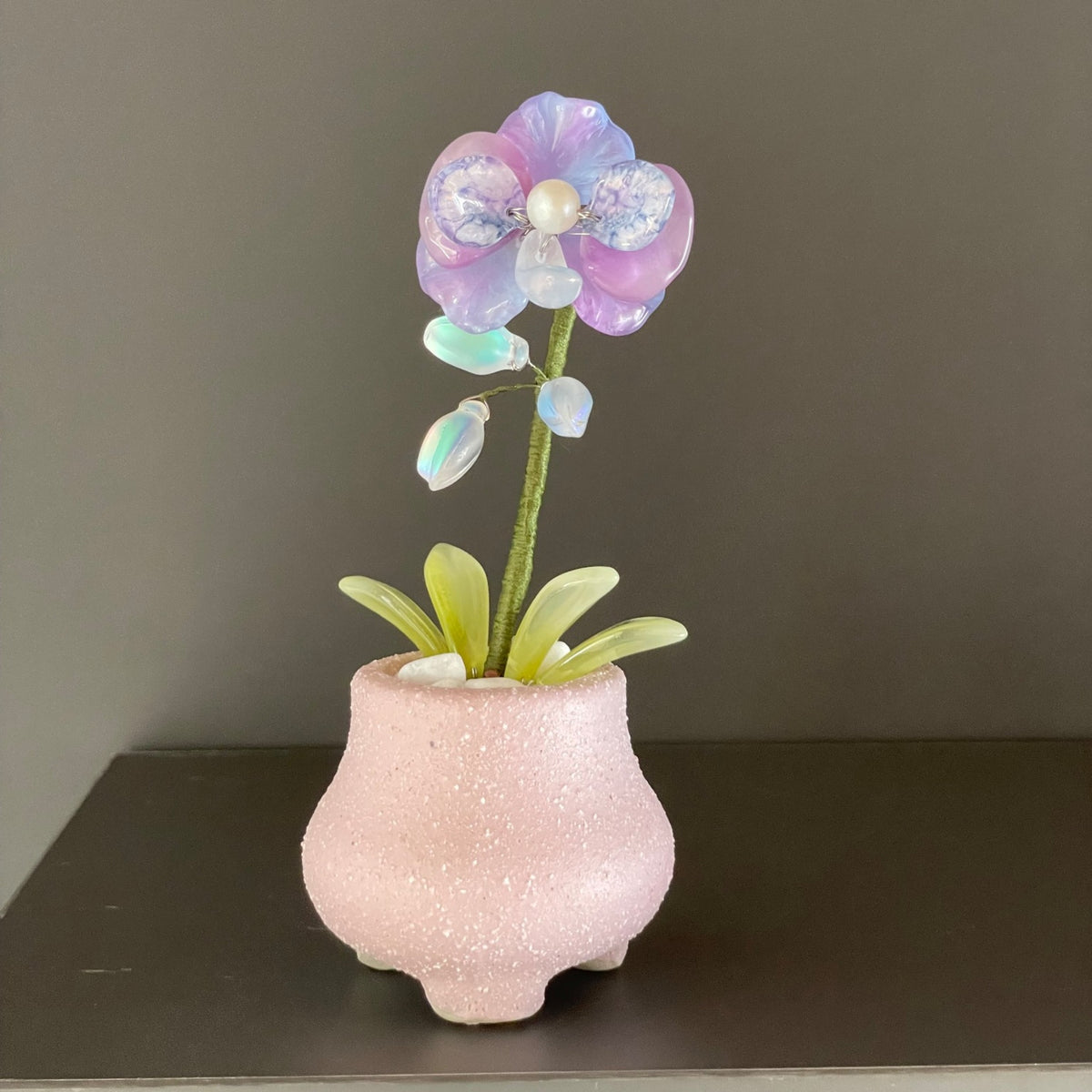 Purple beaded moth orchid in the pictured pink pot — finished example