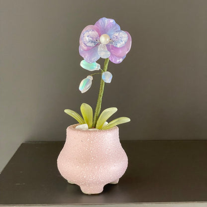 Purple beaded moth orchid in the pictured pink pot — finished example