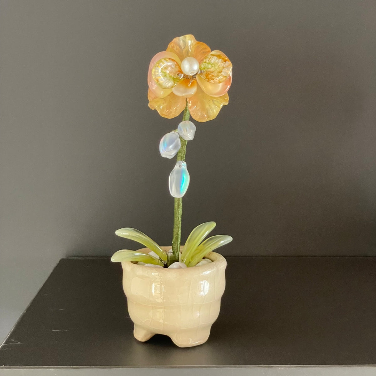 Yellow beaded moth orchid in the pictured cream pot — finished example