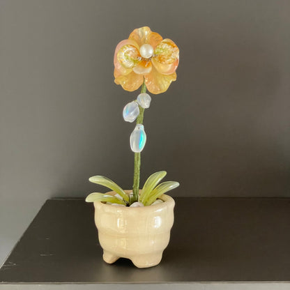 Yellow beaded moth orchid in the pictured cream pot — finished example