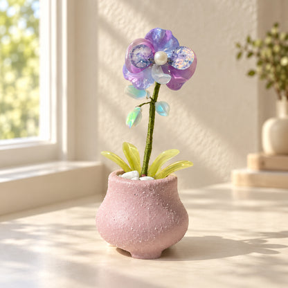Purple beaded moth orchid in a textured pink pot on a sunlit desk — finished example