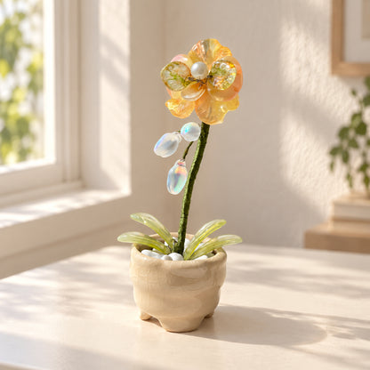 Yellow beaded moth orchid in a cream footed pot on a sunlit desk — finished example