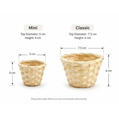 Mini and classic hanging basket base size guide