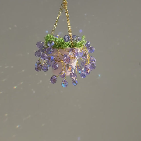 Mini purple beaded hanging plant in ceramic pot video