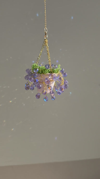 Mini purple beaded hanging plant in ceramic pot video