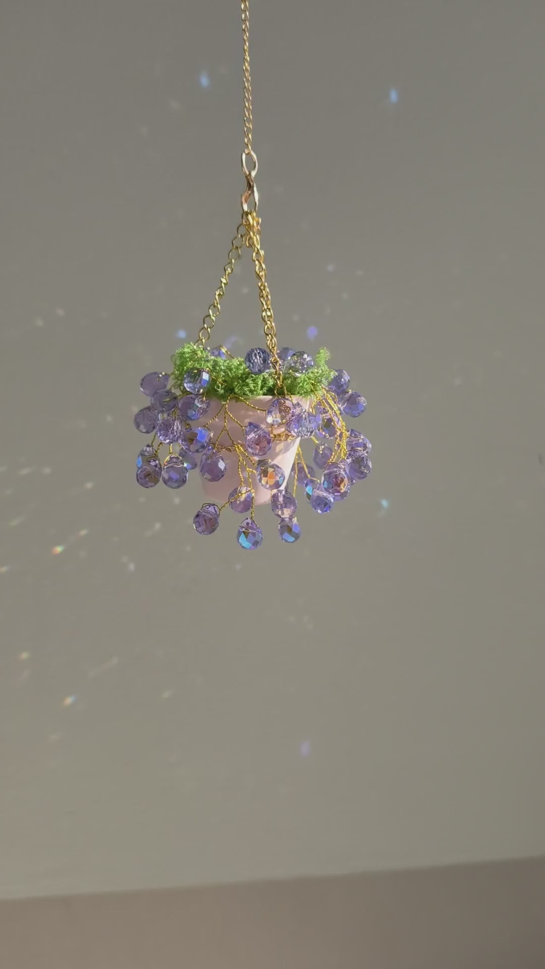 Mini purple beaded hanging plant in ceramic pot video