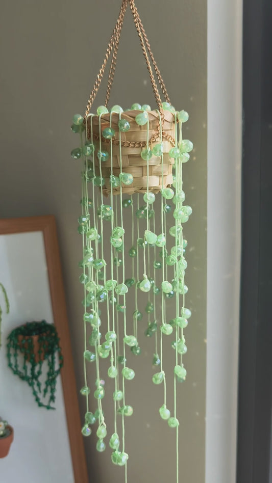 String of Pearls Beaded Hanging Plant