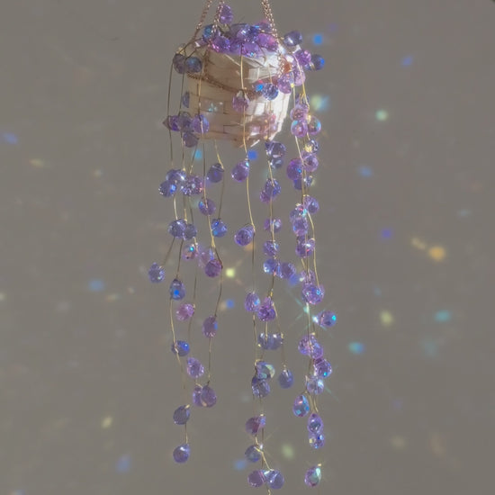 Purple wisteria beaded plant video showing the lilac bead cascade against a grey wall
