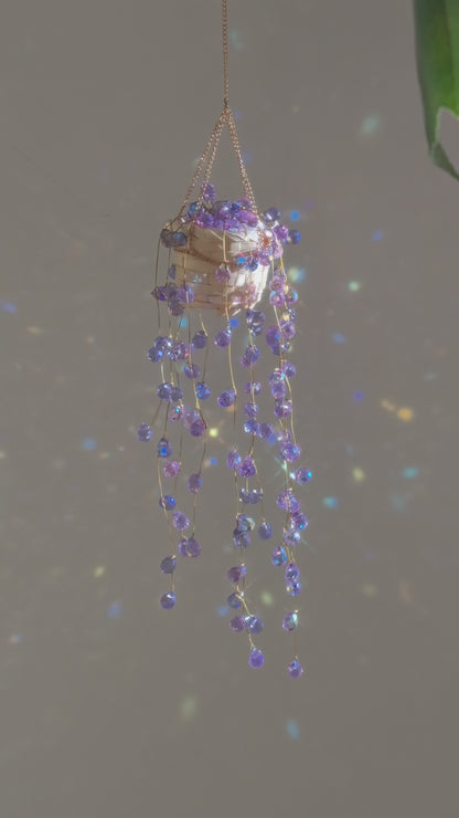 Purple wisteria beaded plant video showing the lilac bead cascade against a grey wall