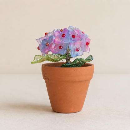 Purple blue and pink beaded hydrangea in a mini terracotta pot