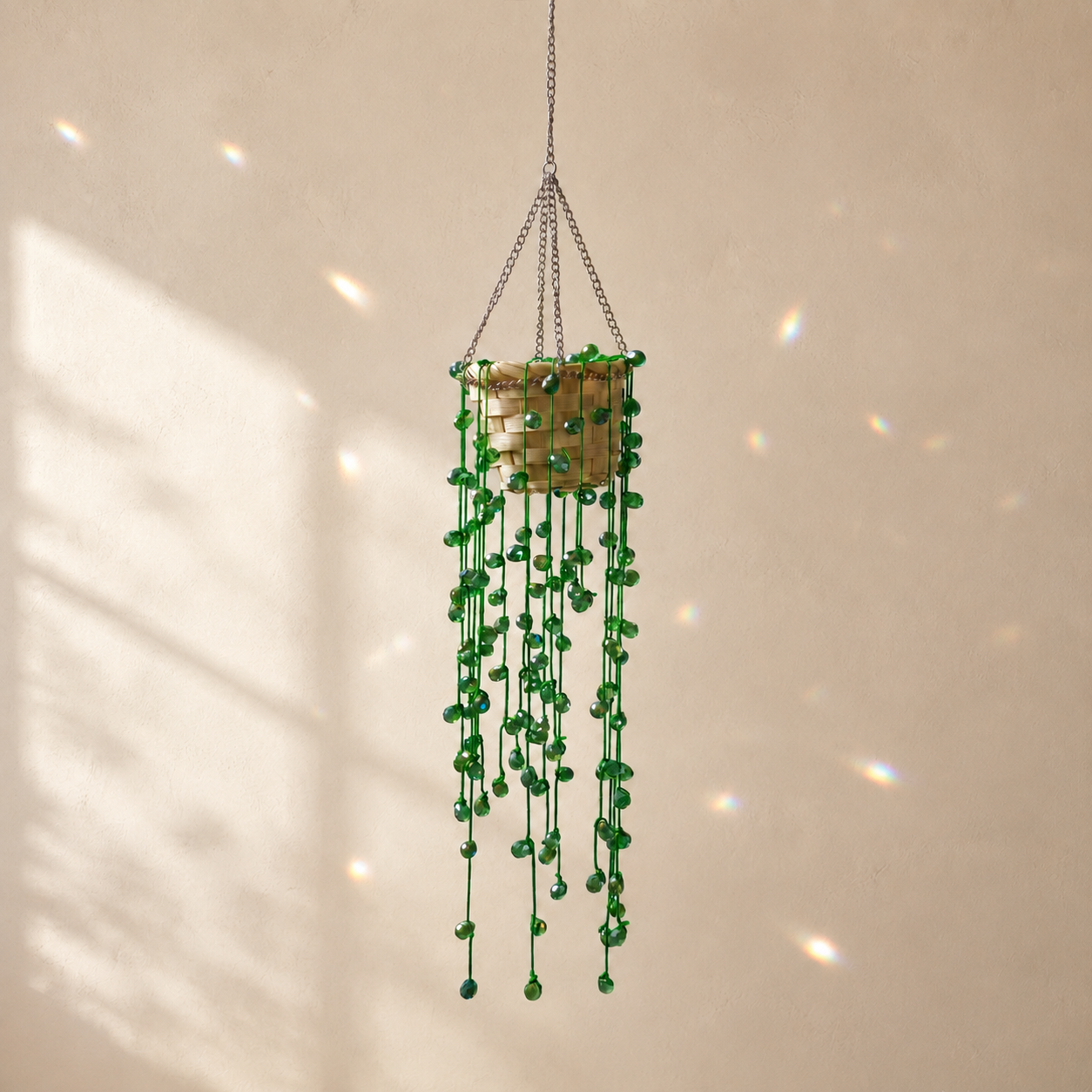String of Pearls beaded hanging plant DIY kit displayed on a sunlit wall