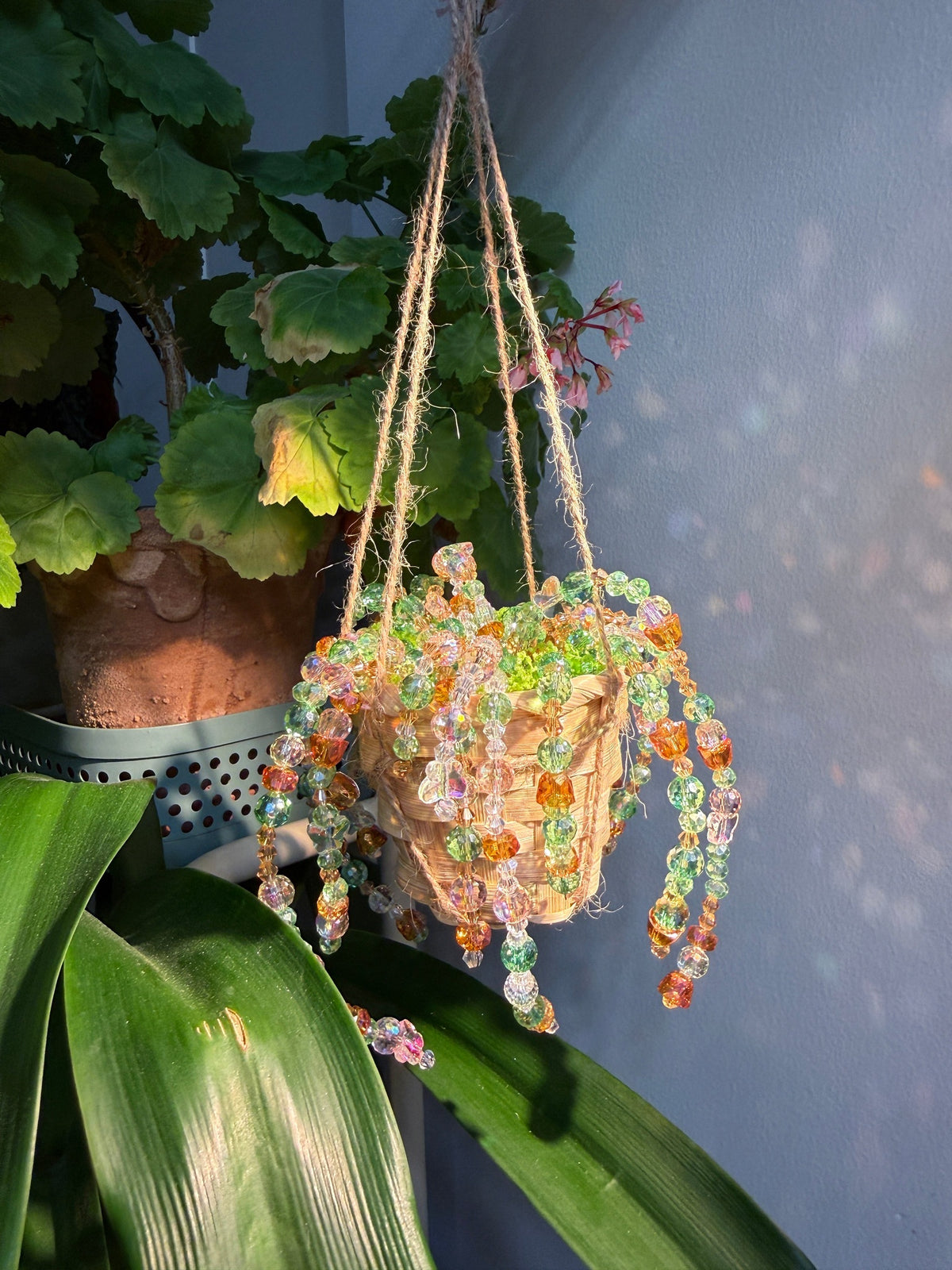Close-up of colorful beaded hanging plant in warm natural light