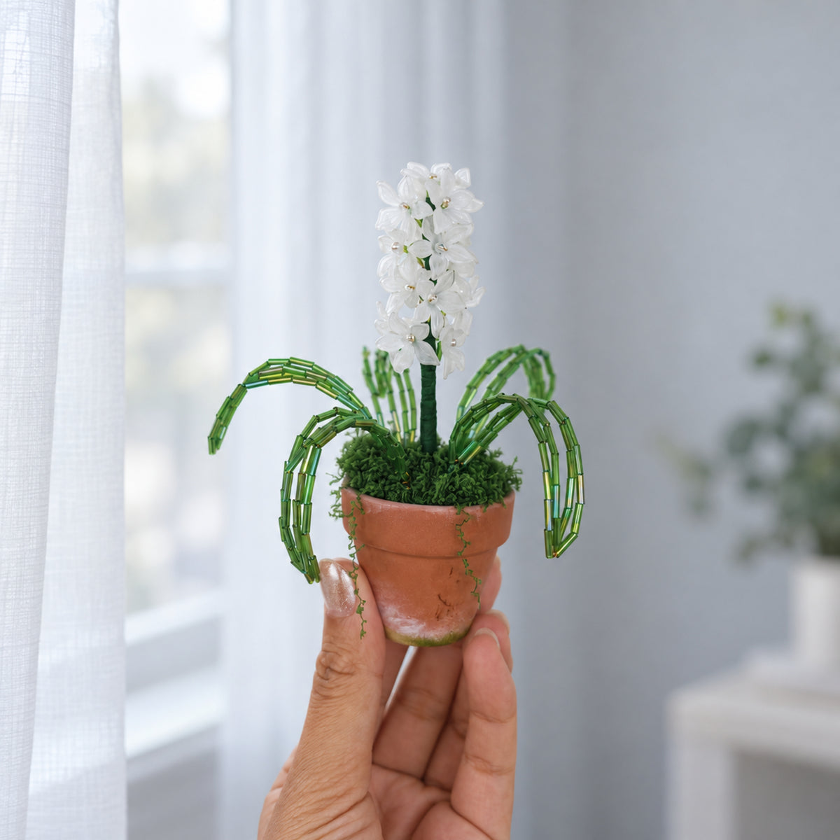 Hand holding the miniature white hyacinth with green beaded leaves beside a softly lit window.