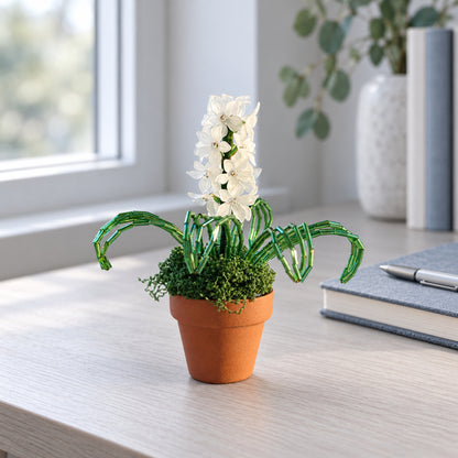 White beaded hyacinth in a small reddish-brown ceramic pot on a cool-toned writing desk.