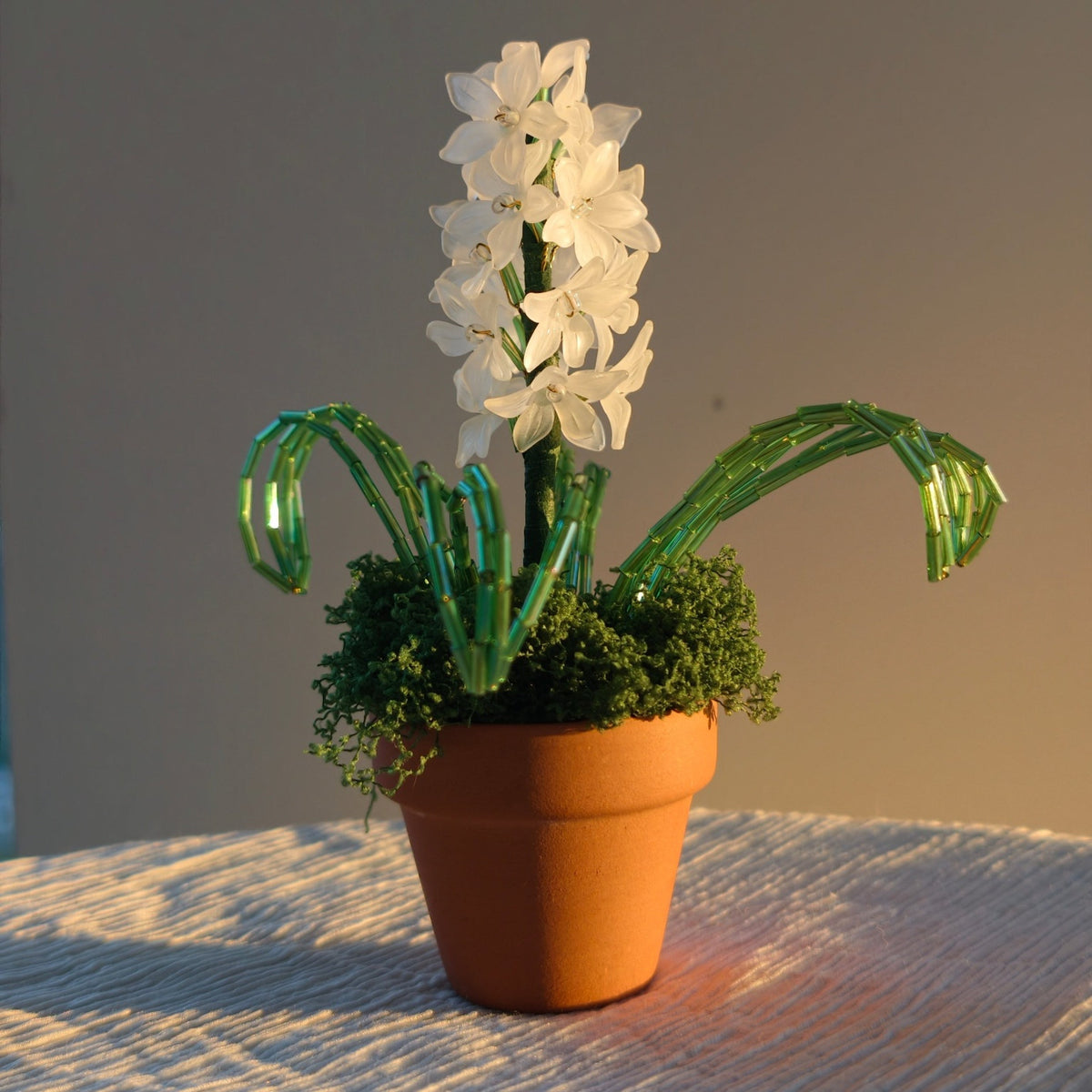 White hyacinth flower arrangement with green beaded leaves in a reddish-brown ceramic pot.