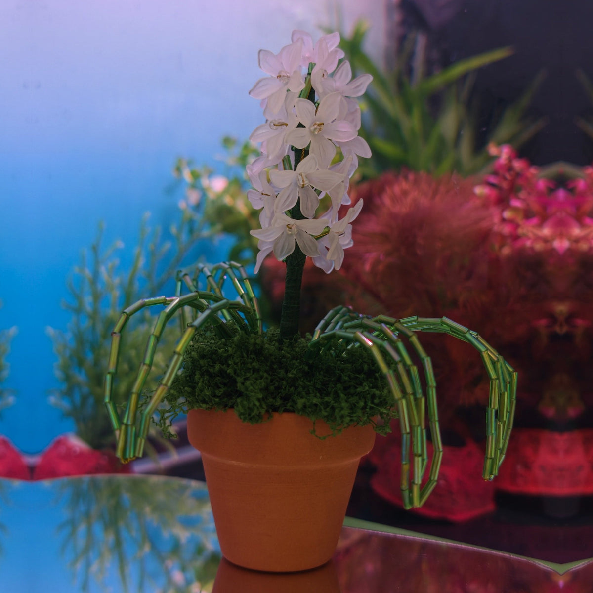 Original photo of the white beaded hyacinth arrangement against a colorful background.