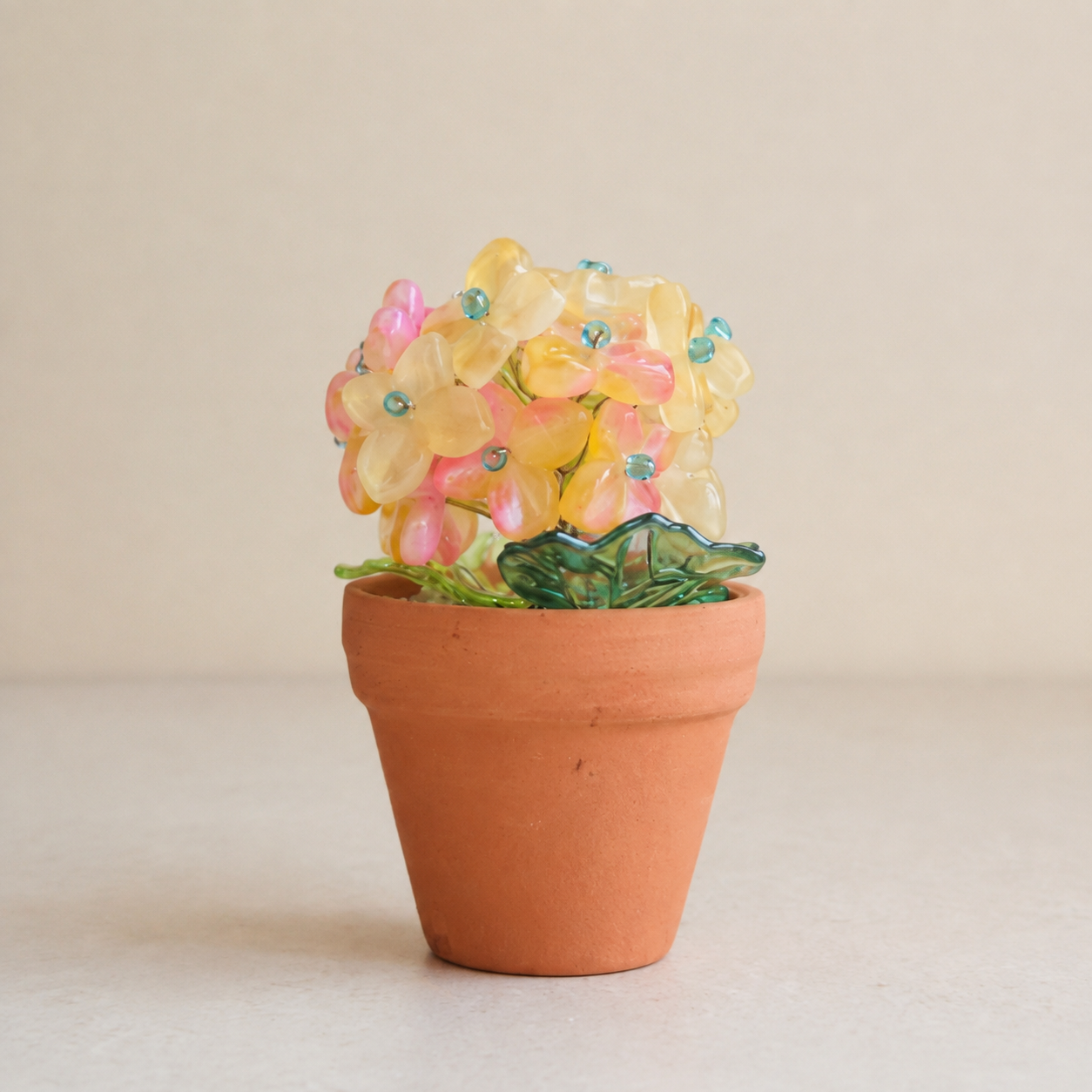Yellow and pink beaded hydrangea in a mini terracotta pot